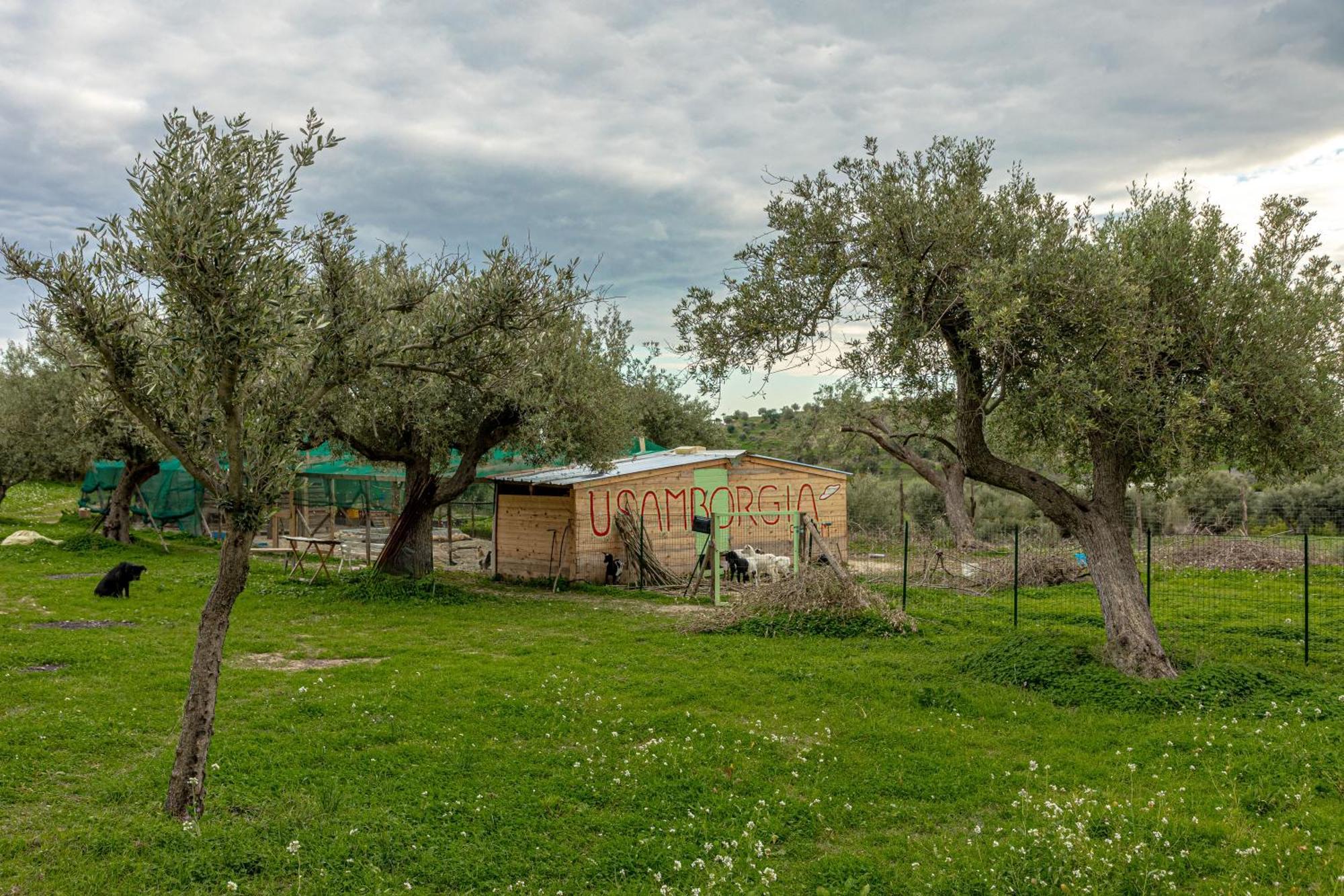 Masseria Usamborgia Casa rural *